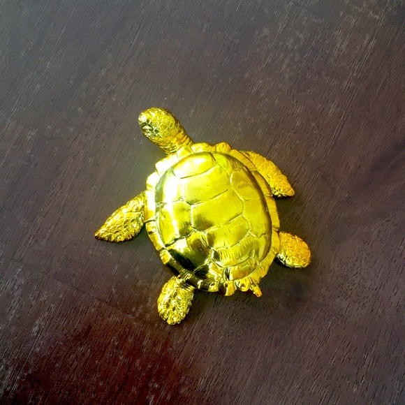 Gold colored Turtle Small Shiny - Picture 2 of 8